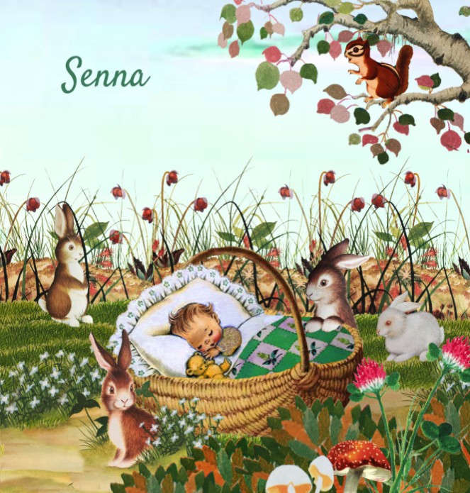 Geboortekaartje retro met baby in mandje