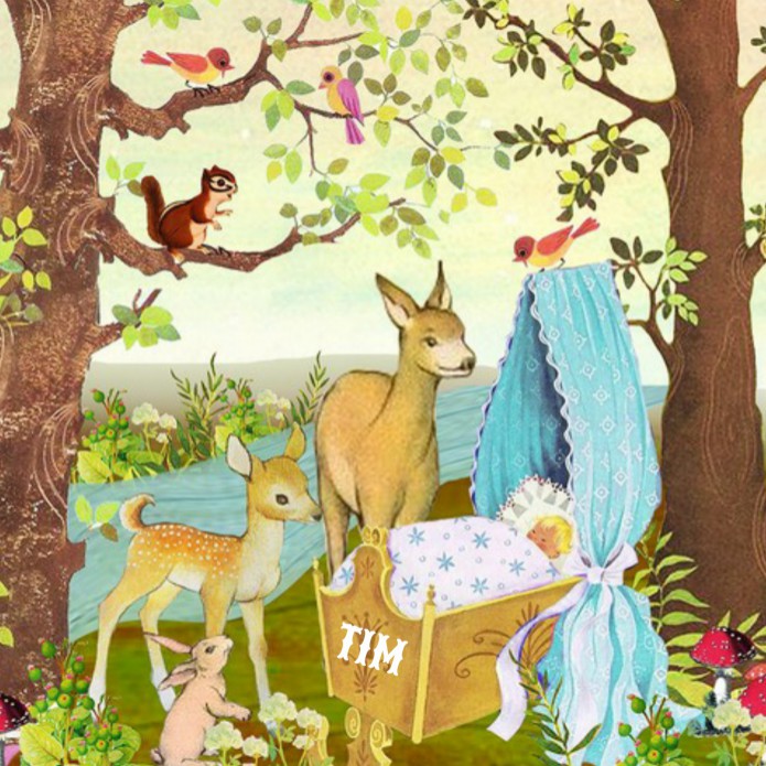 Geboortekaartje retro bos met bosdieren