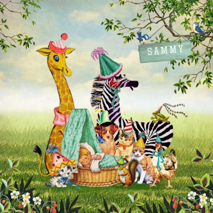 Geboortekaartje retro dieren op kraambezoek