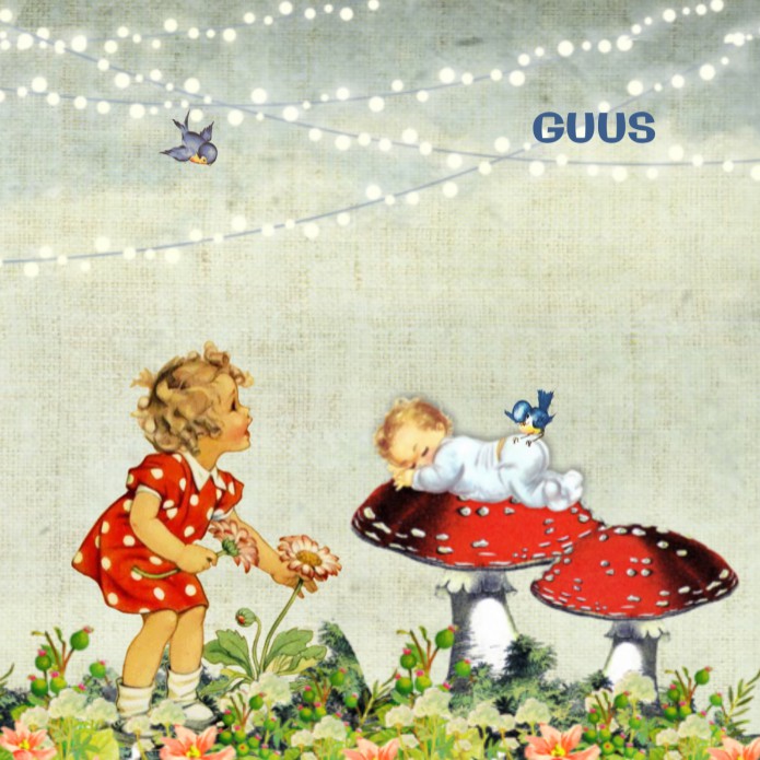 Geboortekaartje retro paddestoel grote zus