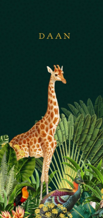 Jungle geboortekaartje met giraffe en zebra in groen