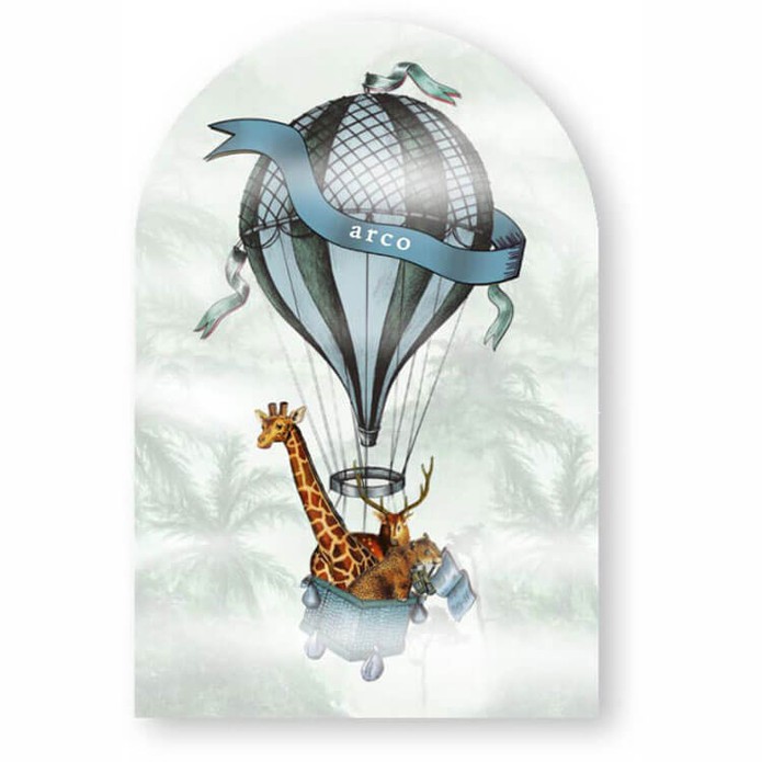 geboortekaartje-boogvorm-luchtballon-giraf
