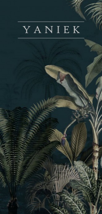 Geboortekaartje 'Dreamy Jungle' van Annet Weelink Design voor