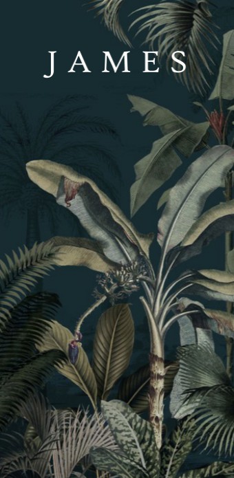 Geboortekaartje 'Dreamy Jungle' van Annet Weelink Design.