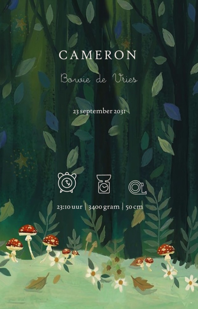 Een heel illustratief geboortekaartje met originele illustratie in sprekende kleuren. Met de hand geschilderde konijnen familie onder een paddenstoel in het bos.