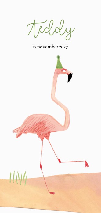 Geboortekaartje flamingo met feesthoedje Anne-Brechtje