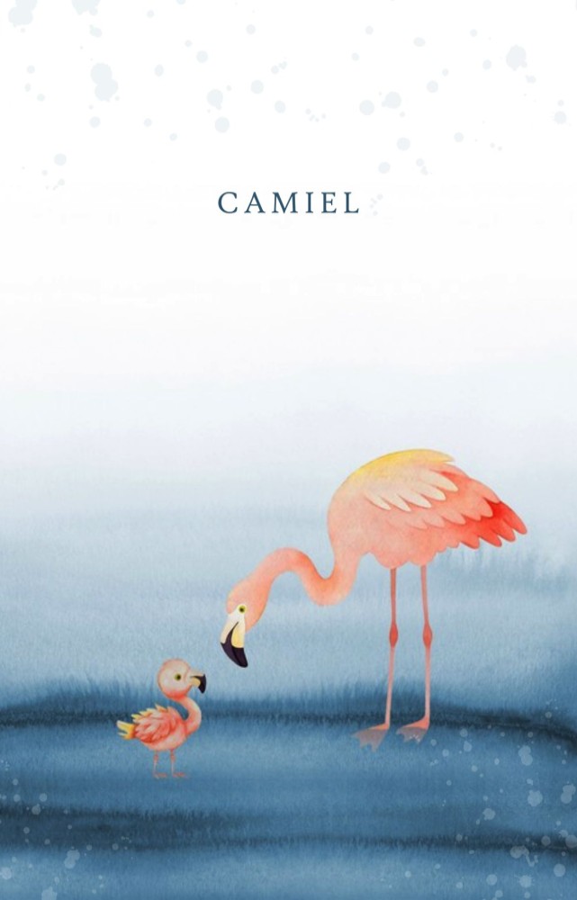 Geboortekaartje met moeder flamingo en baby flamingo in de lagune. Prachtige watercolor details in schitterende kleuren. De flamingo familie is een lieve illustratie voor jullie geboortekaartje.