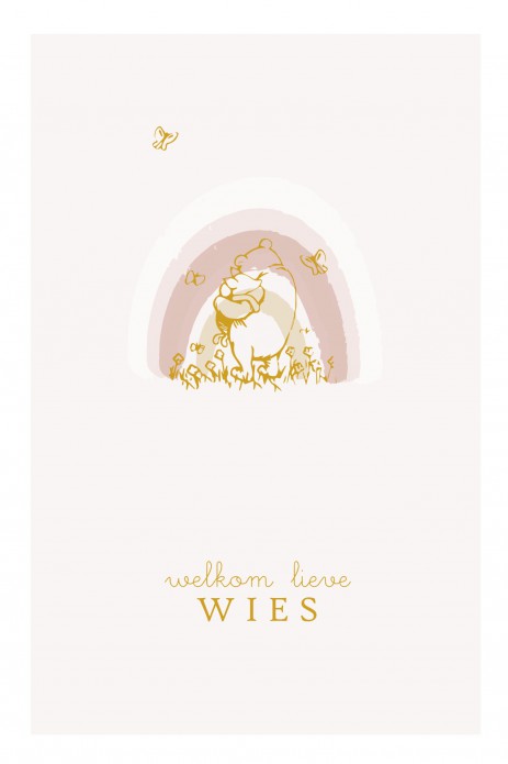 Geboortekaartje foliedruk regenboog Winnie the Pooh voor