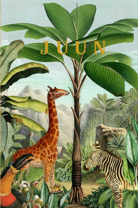 Geboortekaartje jungle tropisch met giraffe en zebra voor