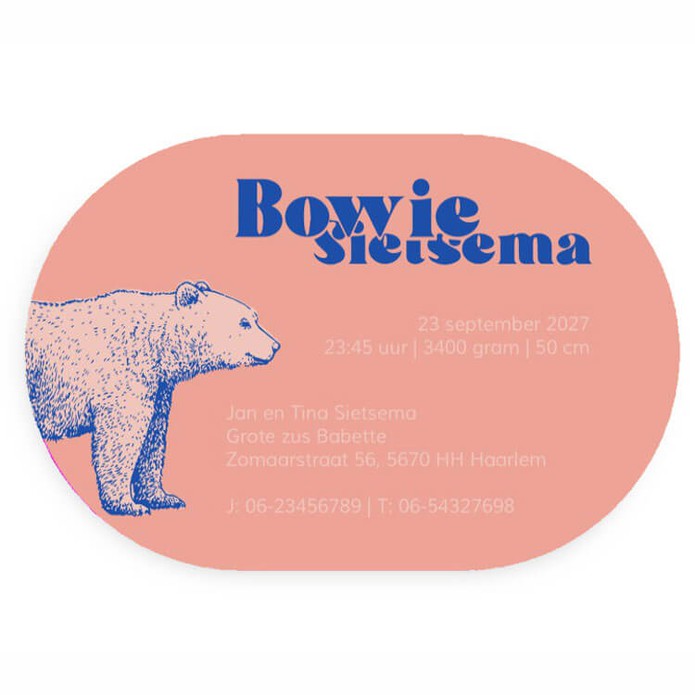geboortekaartje-liggend-ovaal-color-blocking-beer