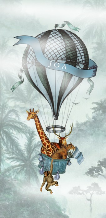 Geboortekaartje luchtballon over de jungle voor