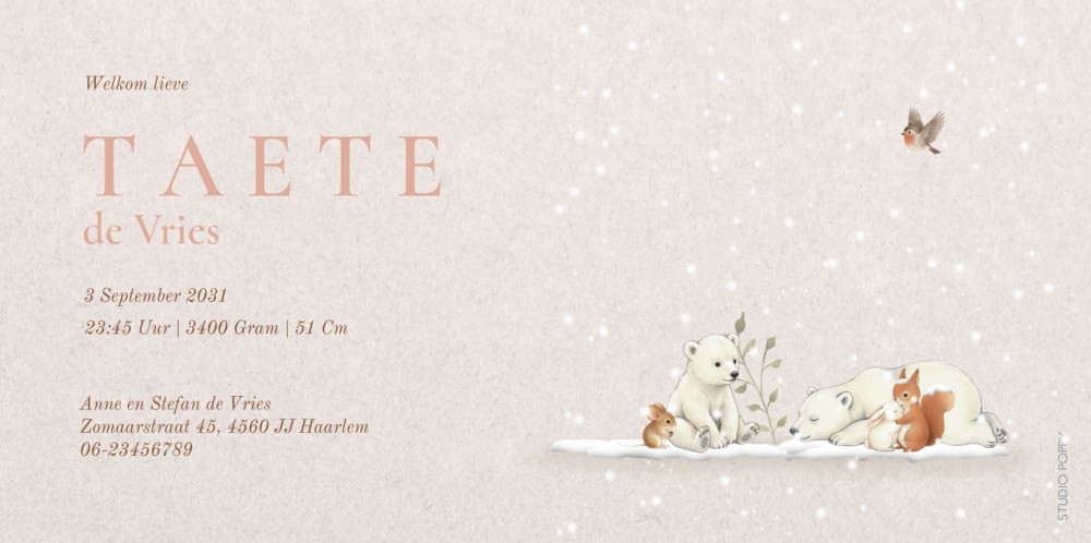 Geboortekaartje winter met sneeuw en dieren. De ijsbeer, hert en konijn staan bij de naam op de voorkant van het geboortekaartje. Een origineel naam geboortekaartje specifiek voor wanneer het koud is buiten.