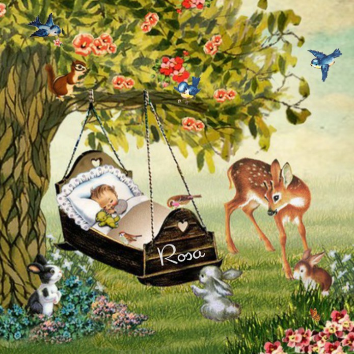 Geboortekaartje retro met baby in schommel wiegje bloemen tuin voor