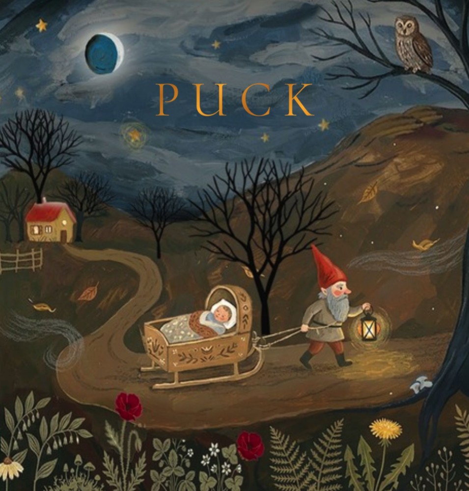 Geboortekaartje sprookjeswereld met kabouter en sterren