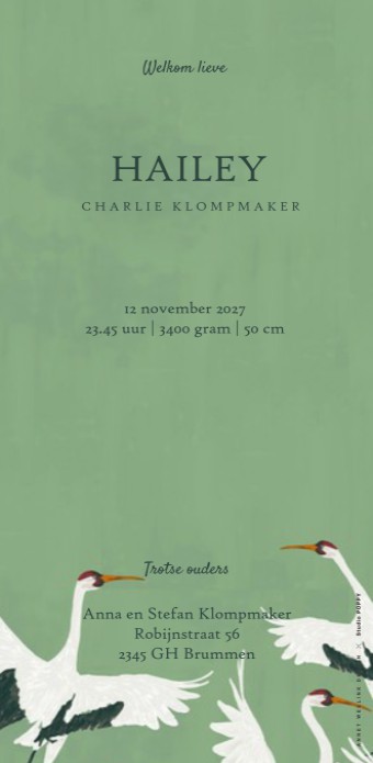 Geboortekaartje 'Stork' van Annet Weelink Design.