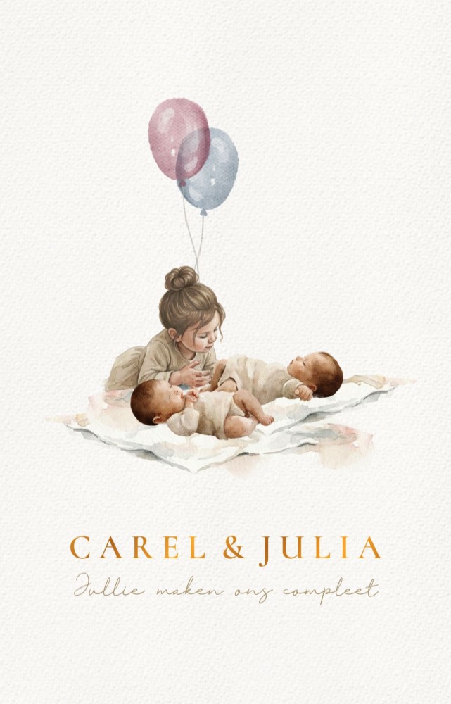 Geboortekaartje tweeling met grote zus
