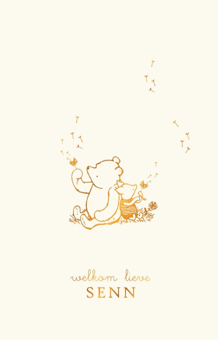 Geboortekaartje Winnie the Pooh en Piglit doen een wens