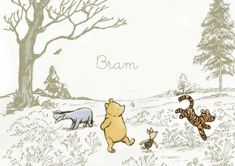 Geboortekaartje Winnie the Pooh, Iejoor, Teigetje en Knorretje