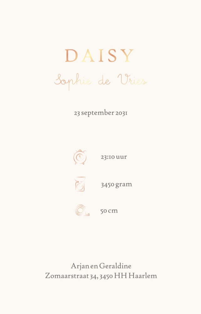 Geboortekaartje Winnie the Pooh met Teigetje en tros ballonnen. Een lijntekening met aquarel details, een illustratief geboortekaartje met Winnie de Poe.