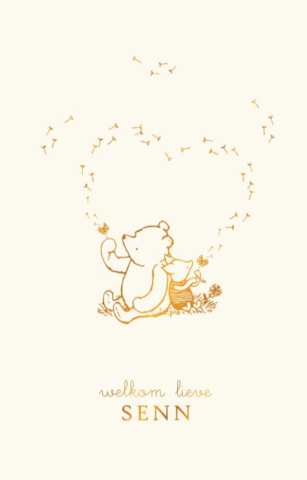 Geboortekaartje Winnie the Pooh en Piglit doen een wens