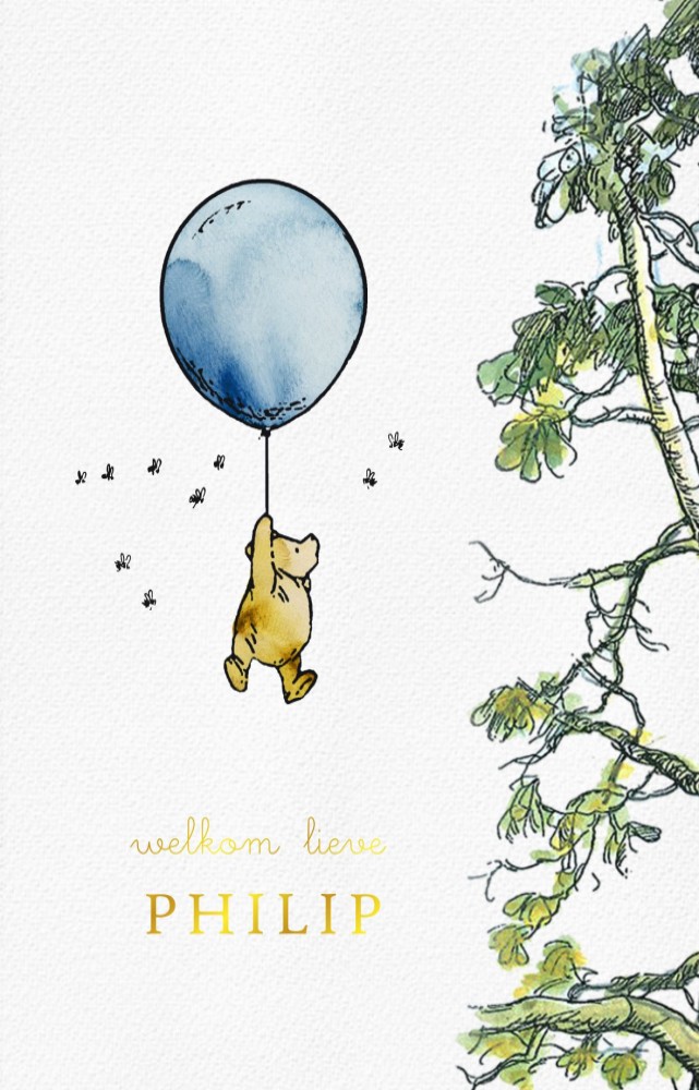 Geboortekaartje Winnie vliegt door de lucht