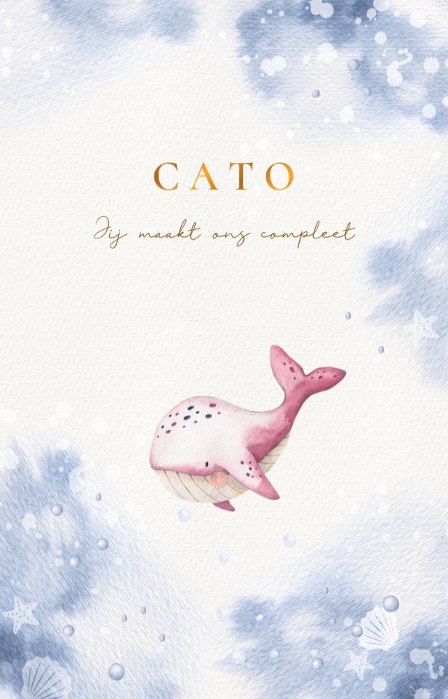 Geboortekaartje met een lief walvisje in de zee. Prachtige watercolor details voor een trendy zeedieren geboortekaartje. Onderzee wereld is ook te zien met schelpjes en zeester.