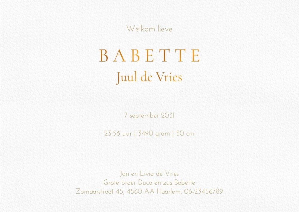 Geboortekaartje zwevend konijntje met een muisje op zijn rug. Een lief dromerig en fantasievol geboortekaartje dat perfect past in de trend van dit jaar. Ingetogen en illustratief geboortekaartje met konijn en muisje.