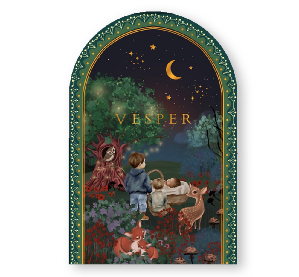 Geboortekaartje droomwereld met grote broer