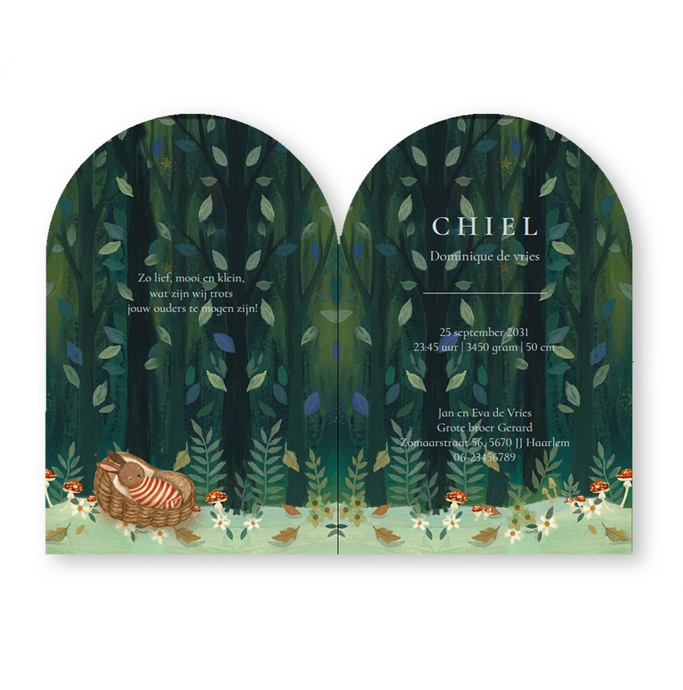 Een heel origineel geboortekaartje in bijzondere vorm en handgeschilderde illustratie van konijnen familie onder de paddenstoel. Er zijn meerdere familie samenstellingen mogelijk.