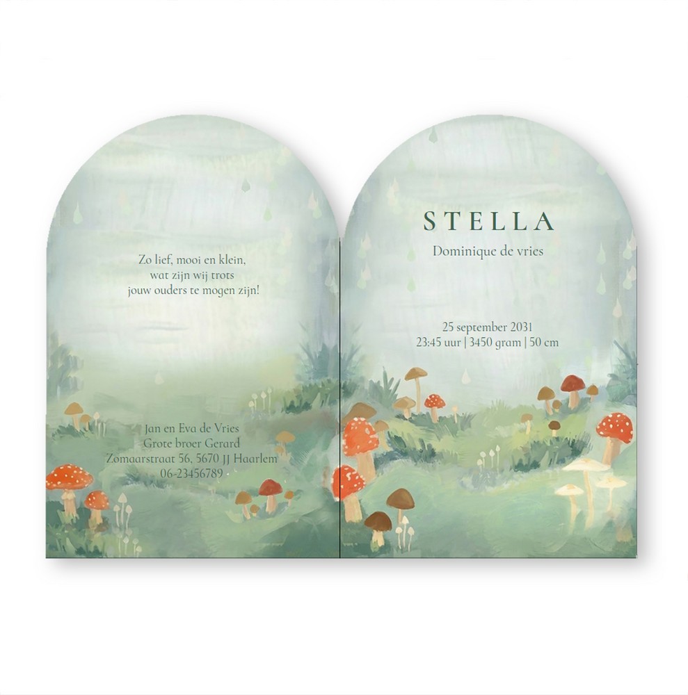 Een heel origineel geboortekaartje in bijzondere vorm en handgeschilderde illustratie van paddenstoel met slapend beertje in wieg.