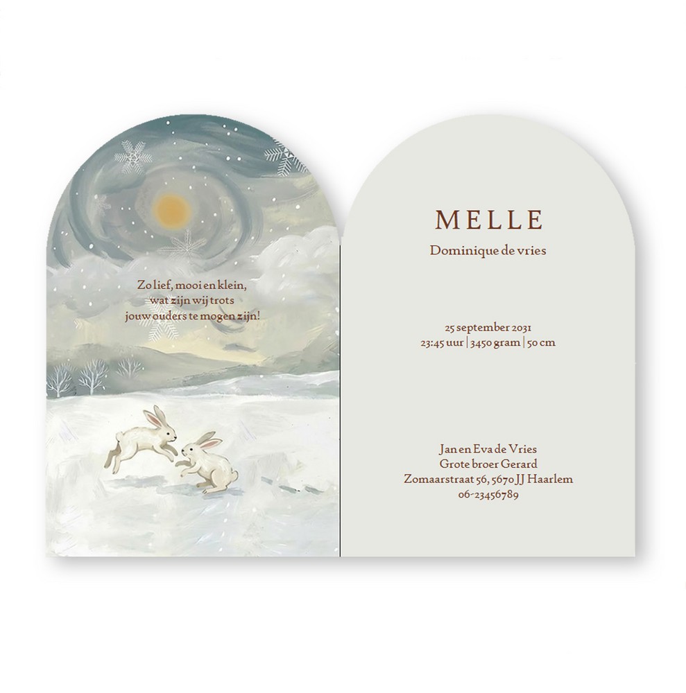 Een heel origineel geboortekaartje in bijzondere vorm en handgeschilderde illustratie van besneeuwd landschap met wiegje. Een fantastische lucht met maan, vos en konijn maken het een echt schilderijtje.