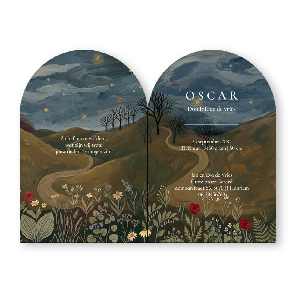 Een sprookjesachtig geboortekaartje! Een bijzondere vorm met een sprookje illustratie met de hand geschilderd. De kabouter met lantaarn trekt de slee voort bij de heldere maan.