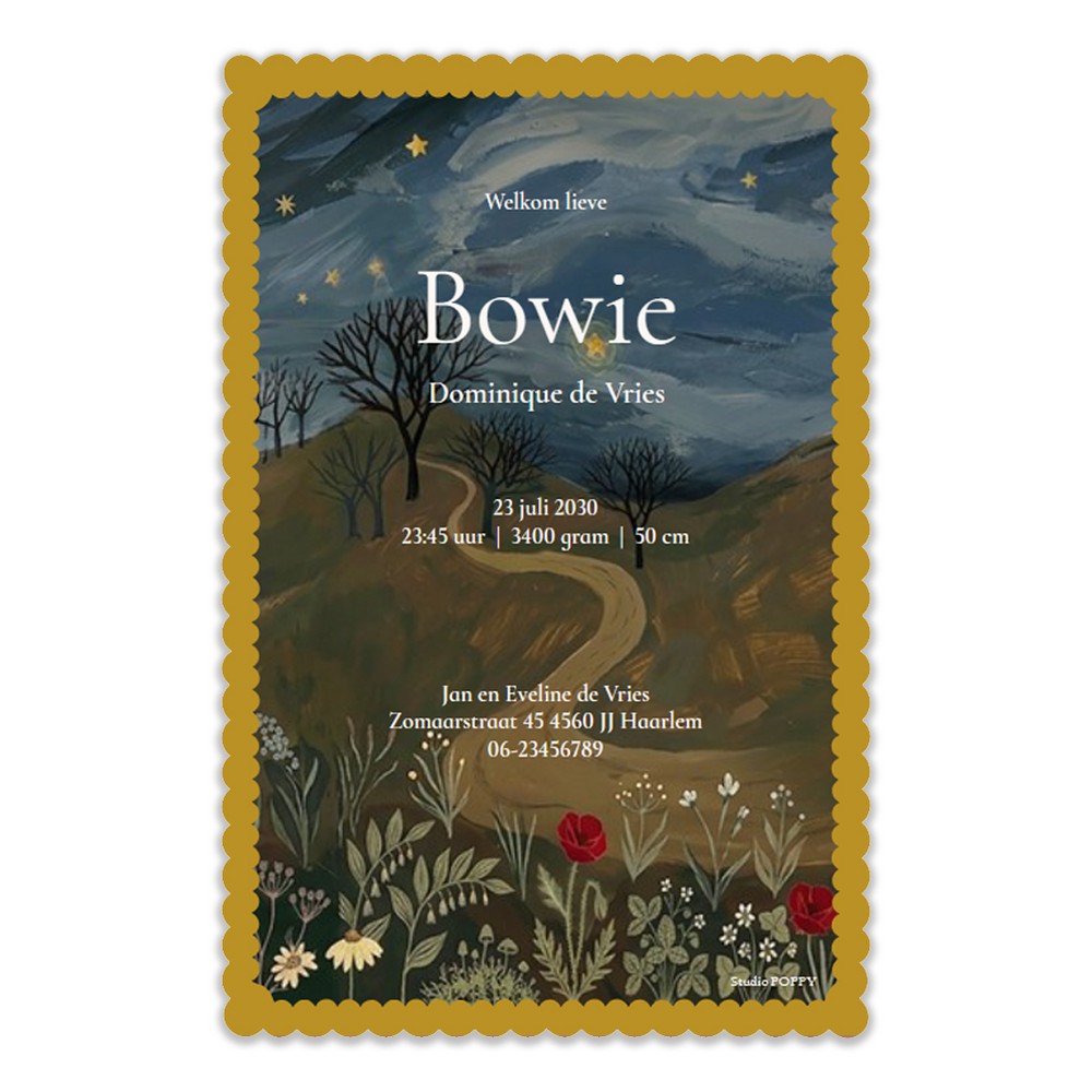 Een heel bijzonder geboortekaartje met handgeschilderde illustratie en lief schulprandje. Het huisje in het maanlicht aan het einde van het pad met kabouter.