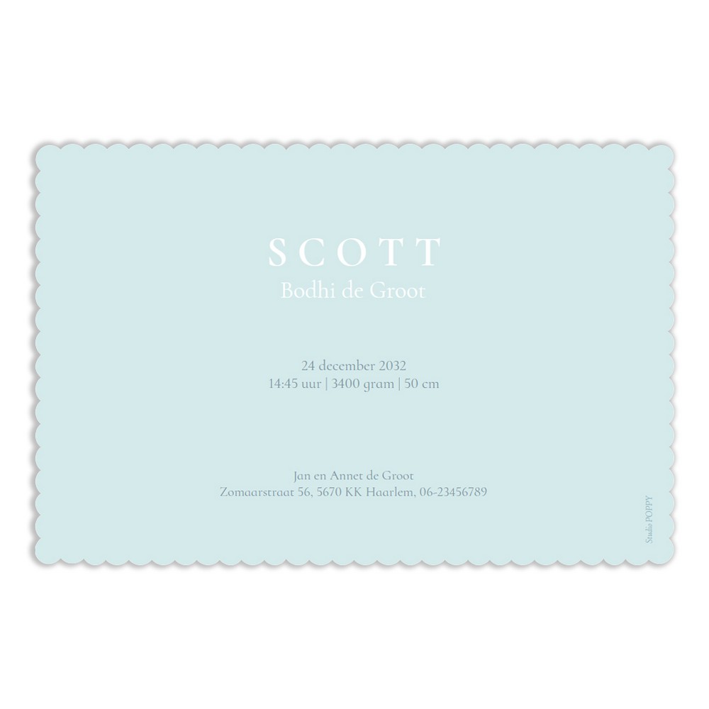 Een uniek geboortekaartje met schulprandje! Een winter geboortekaartje met sneeuw en dieren rondom het wiegje. De ijsbeer, pinguïn en hert mogen niet ontbreken. Het bijzondere randje maakt het een lief winters geboortekaartje.