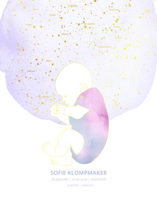 Geboorteposter sterrenbeeld met baby pastel
