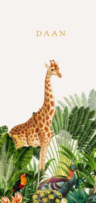 Jungle geboortekaartje met giraffe en zebra