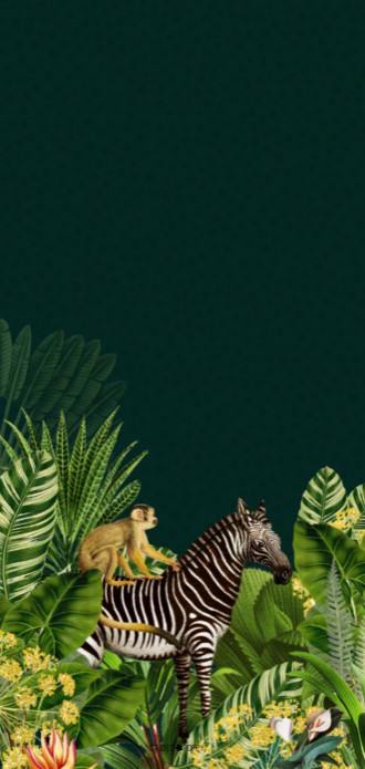 Jungle geboortekaartje met giraffe en zebra in groen achter