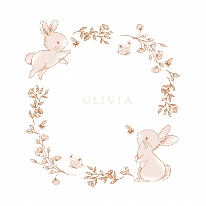 Lief geboortekaartje met lijntekening konijn meisje