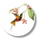 Sluitsticker jungle kolibri voor