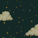 Geboortekaartje lief maantje met wolkjes en sterren achter