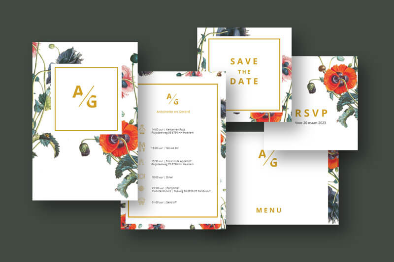 Huisstijl botanisch poppy